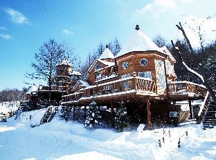 Pyeongchang-gun South Korea Deal Discount Code Agoda.com