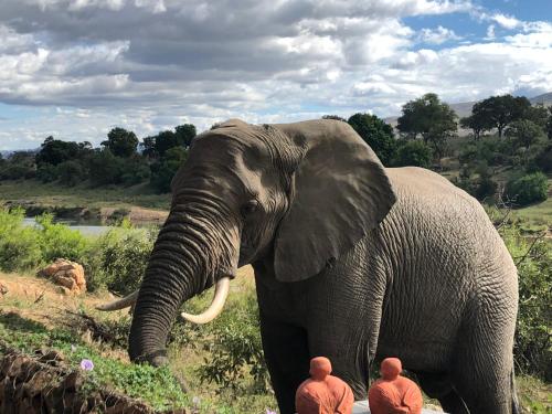 Kruger National Park South Africa Deal Discount Code Agoda.com