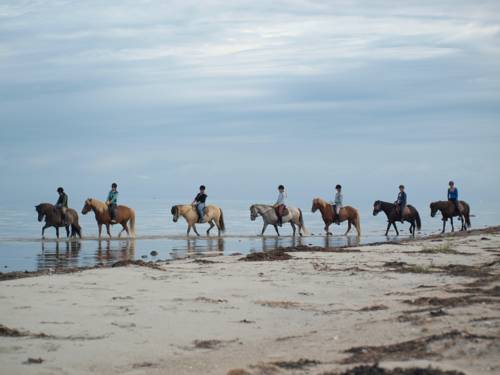 Læsø Dänemark Angebotsrabattcode Booking.com