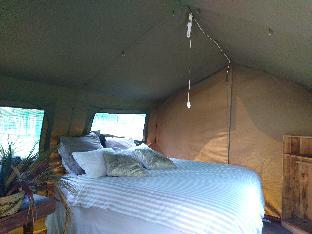 Kruger National Park South Africa Deal Discount Code Agoda.com