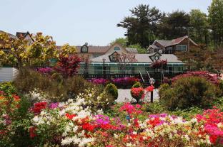Taean-gun South Korea Deal Discount Code Agoda.com