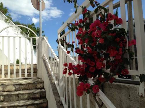 Tučepi Croatia Deal Discount Code Booking.com