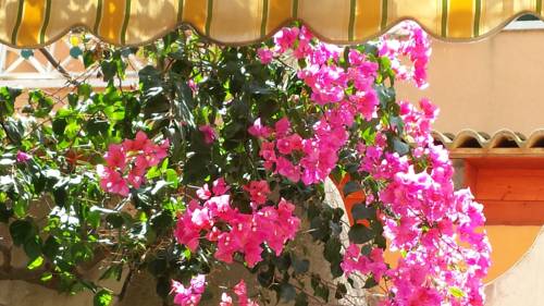 Santa Maria del Focallo Italien Angebotsrabattcode Booking.com