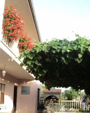 Biograd na Moru Croatia Deal Discount Code Booking.com