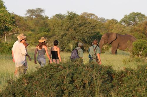 Kruger National Park South Africa Deal Discount Code Agoda.com